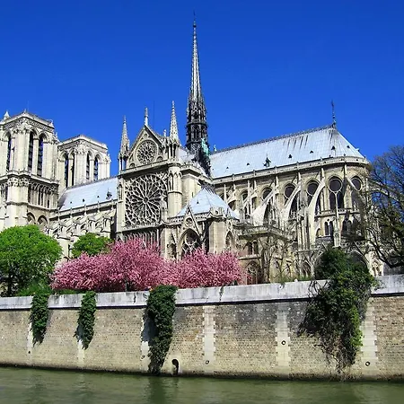 Notre Dame Bright *